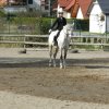 Babie Lato 2016
